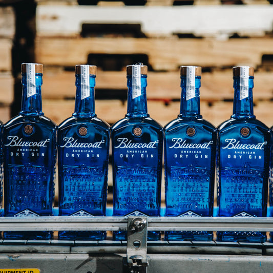 BLUECOAT AMERICAN GIN