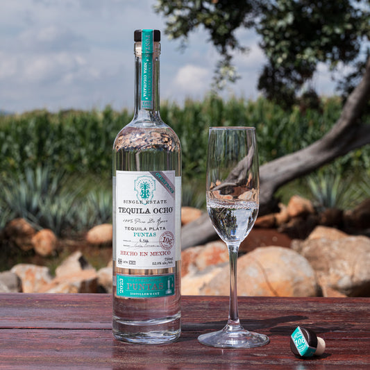 OCHO PUNTAS 2023 MESA COLORADA