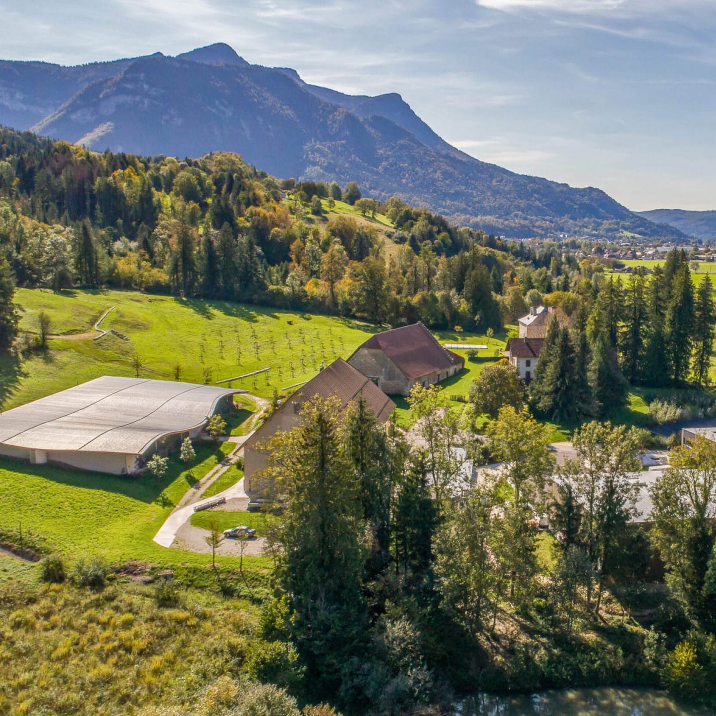 CHARTREUSE MOF LIQUEUR