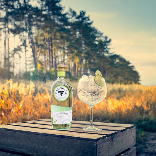 RAMSBURY SINGLE ESTATE GIN