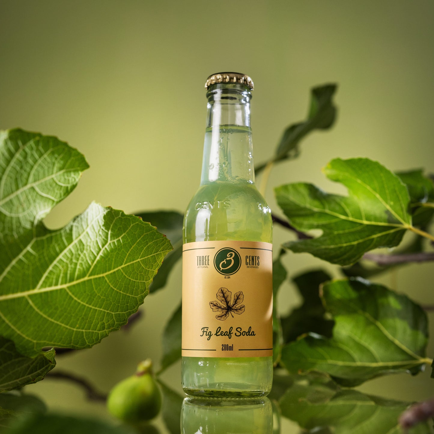 THREE CENTS FIG LEAF SODA CASE